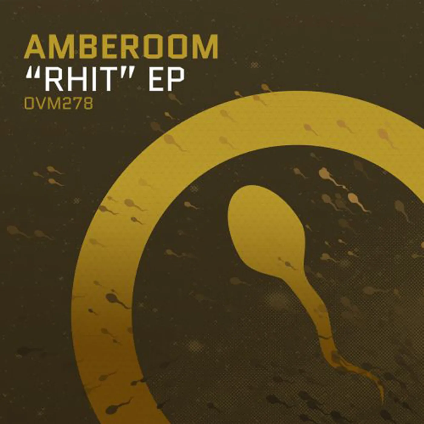 Amberoom RHIT Vinyl Record