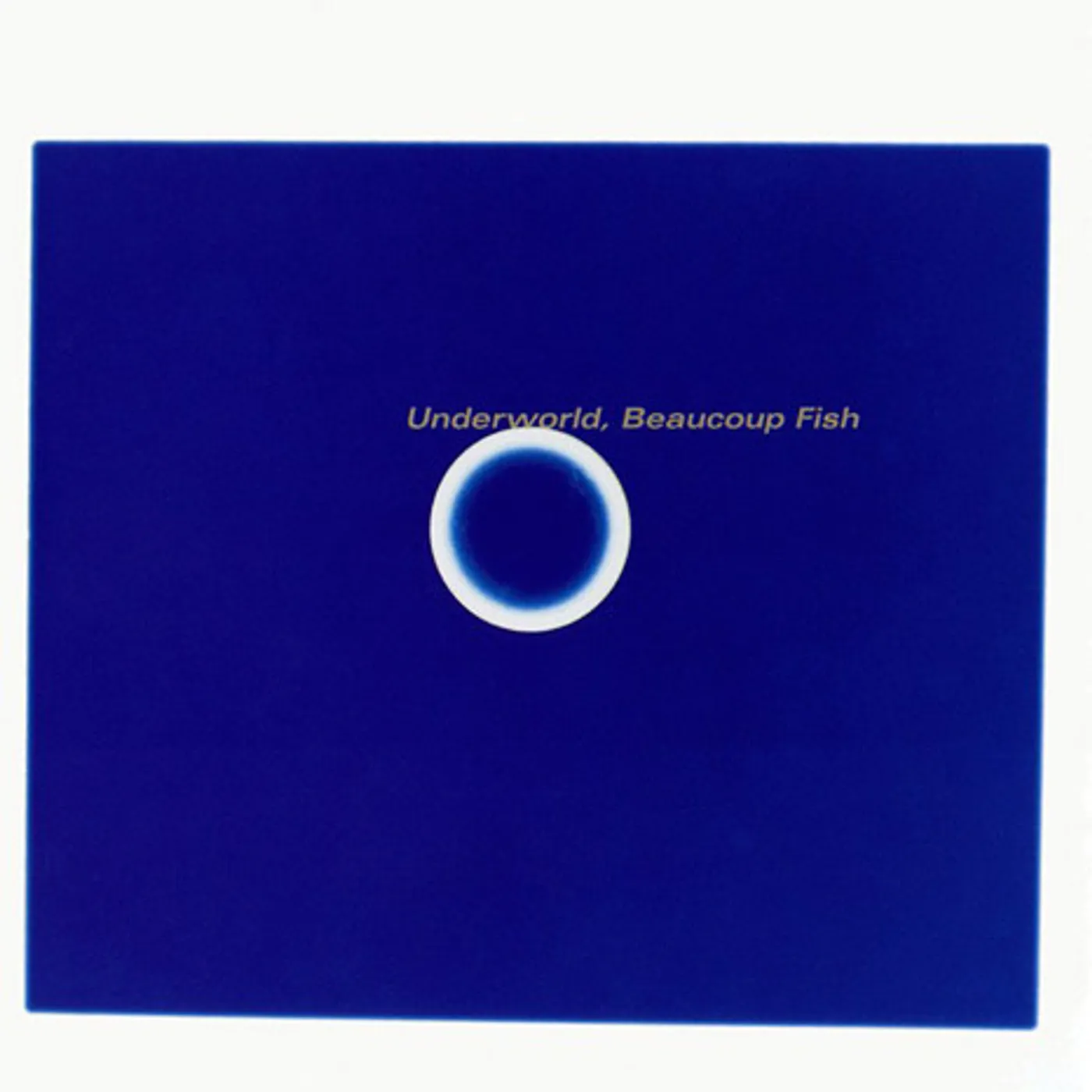 Underworld Beaucoup Fish Vinyl Record