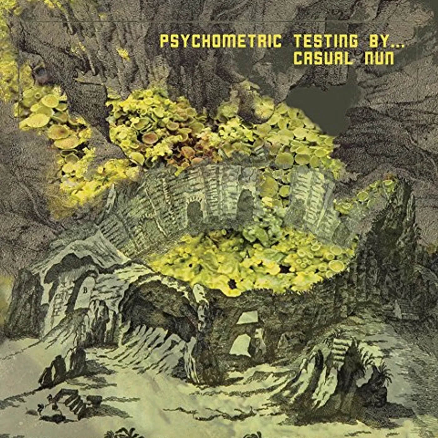 Casual Nun PSYCHOMETRIC TESTING BY Vinyl Record