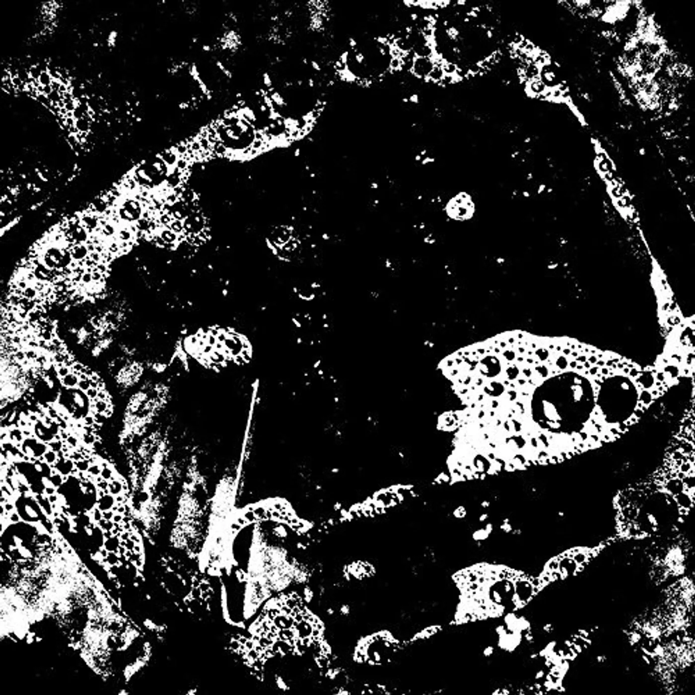 Biome GRIDDLED Vinyl Record