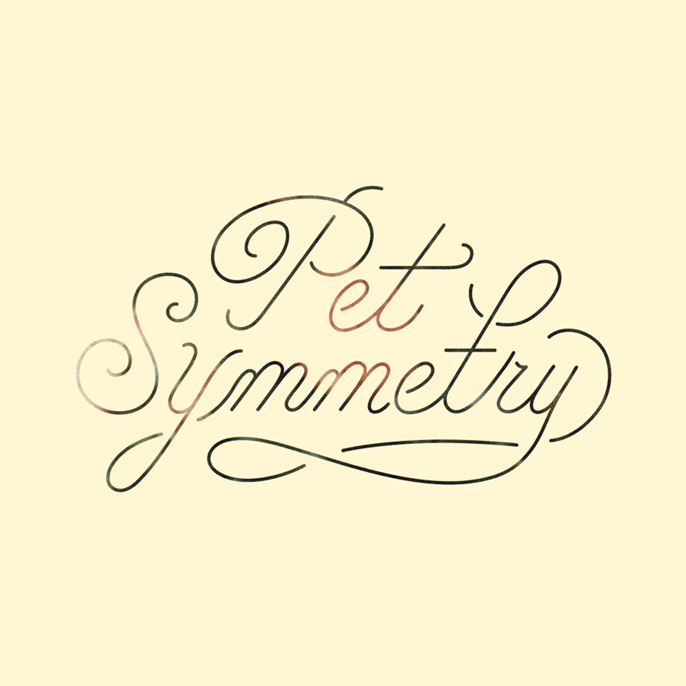 Pet Symmetry Vision Vinyl Record
