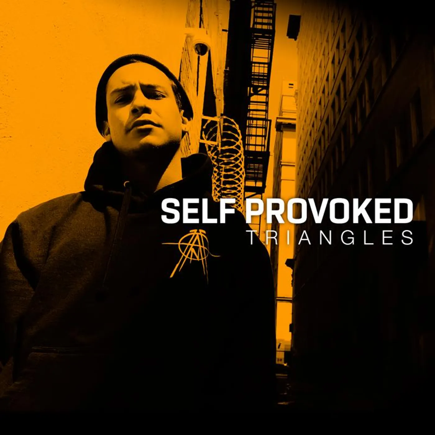 Self Provoked Triangles Vinyl Record