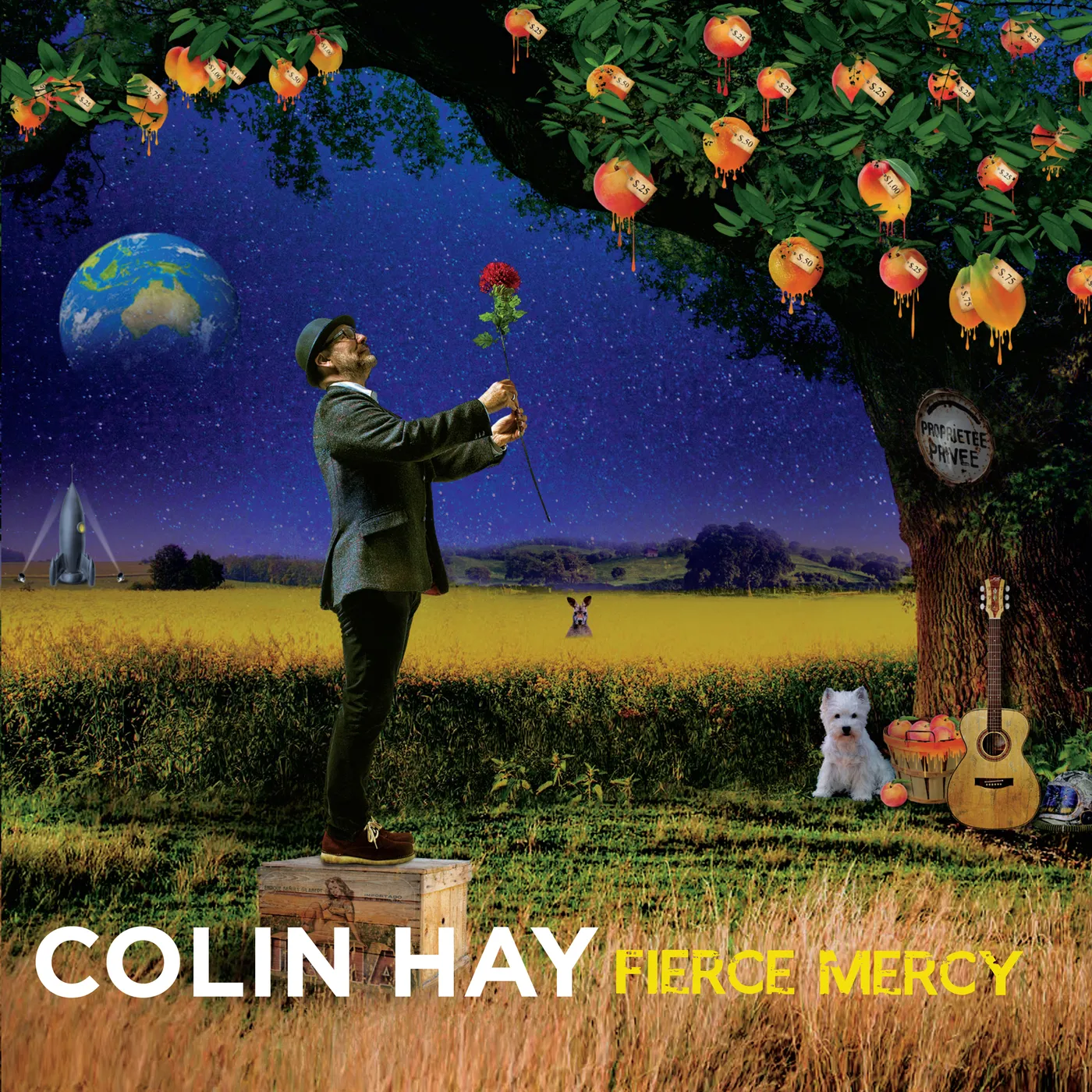 Colin Hay Fierce Mercy Vinyl Record