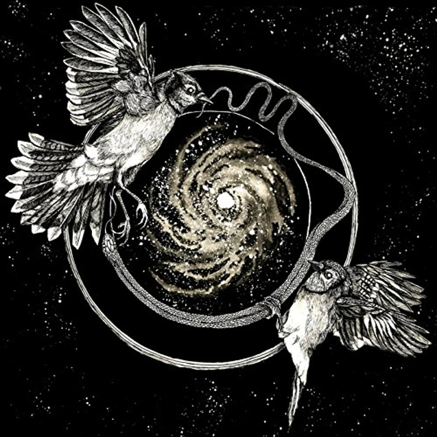 Vattnet Viskar Sky Swallower Vinyl Record