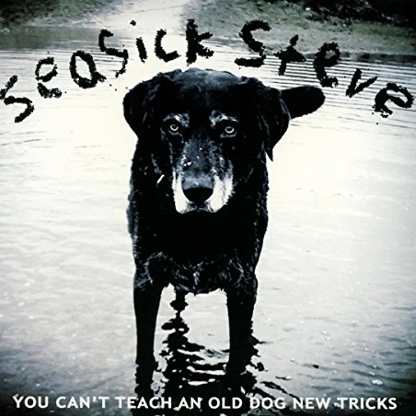 Seasick Steve YOU CAN'T TEACH AN OLD DOG NEW TRICKS CD