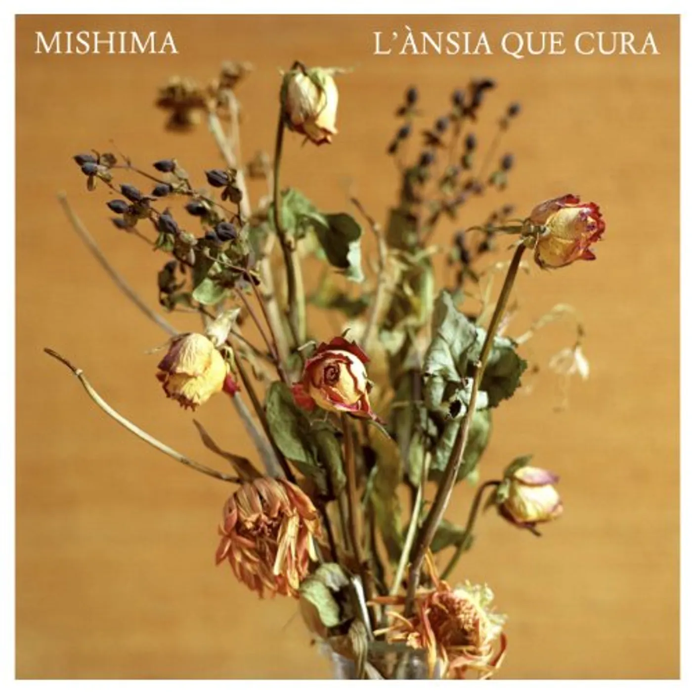 Mishima L'ANSIA QUE CURA CD