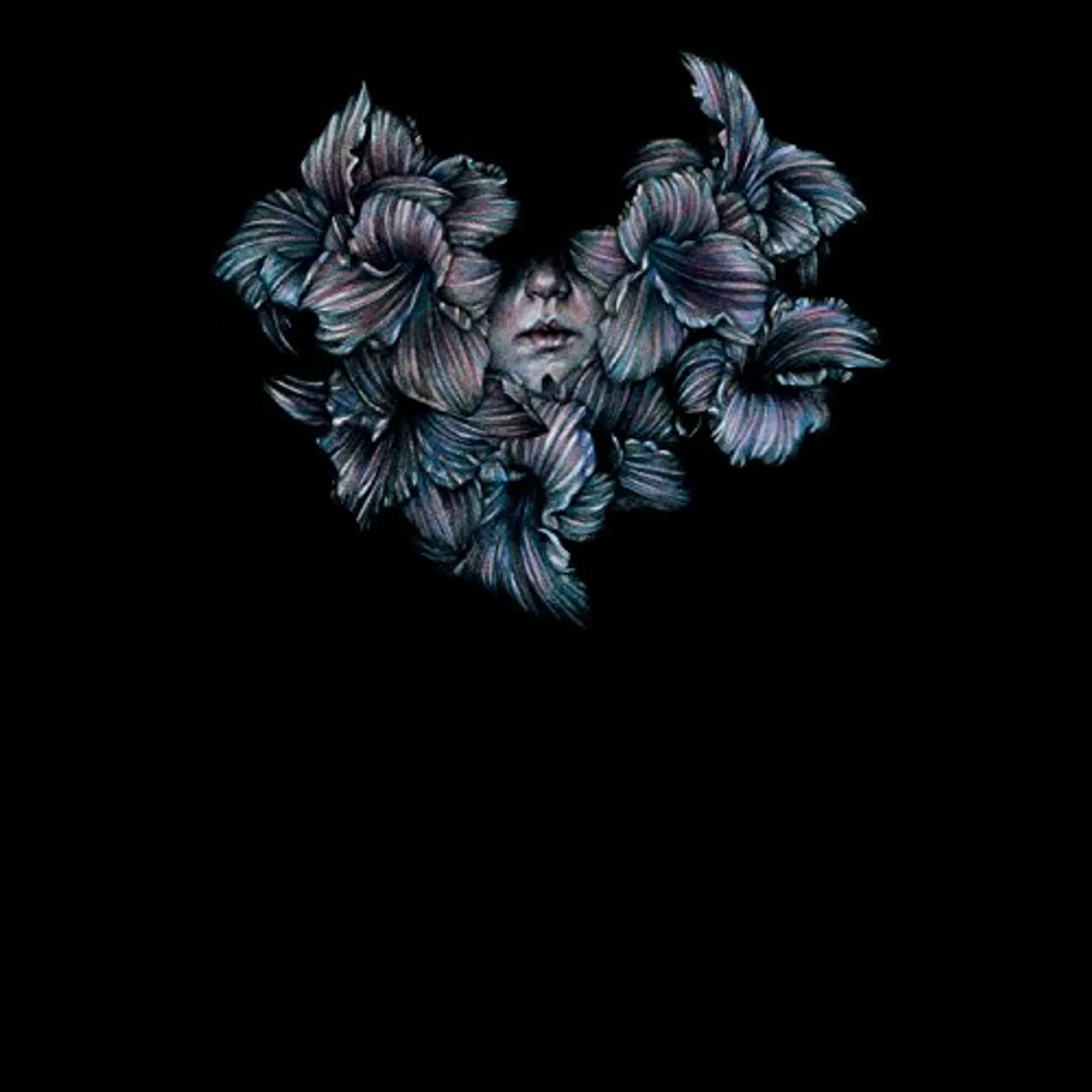 A Lot Like Birds DIVISI CD