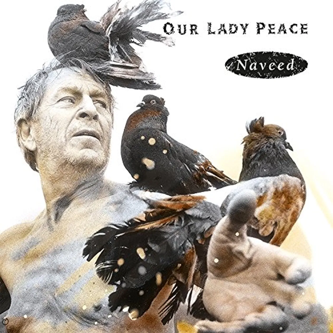 Our Lady Peace Naveed Vinyl Record