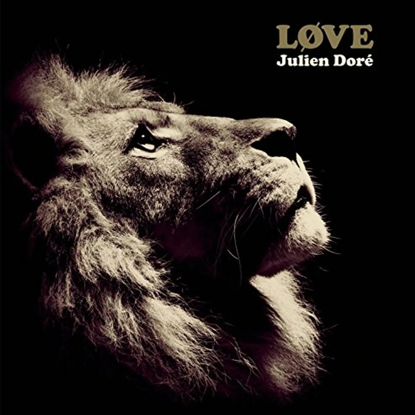 Julien Doré LOVE Vinyl Record