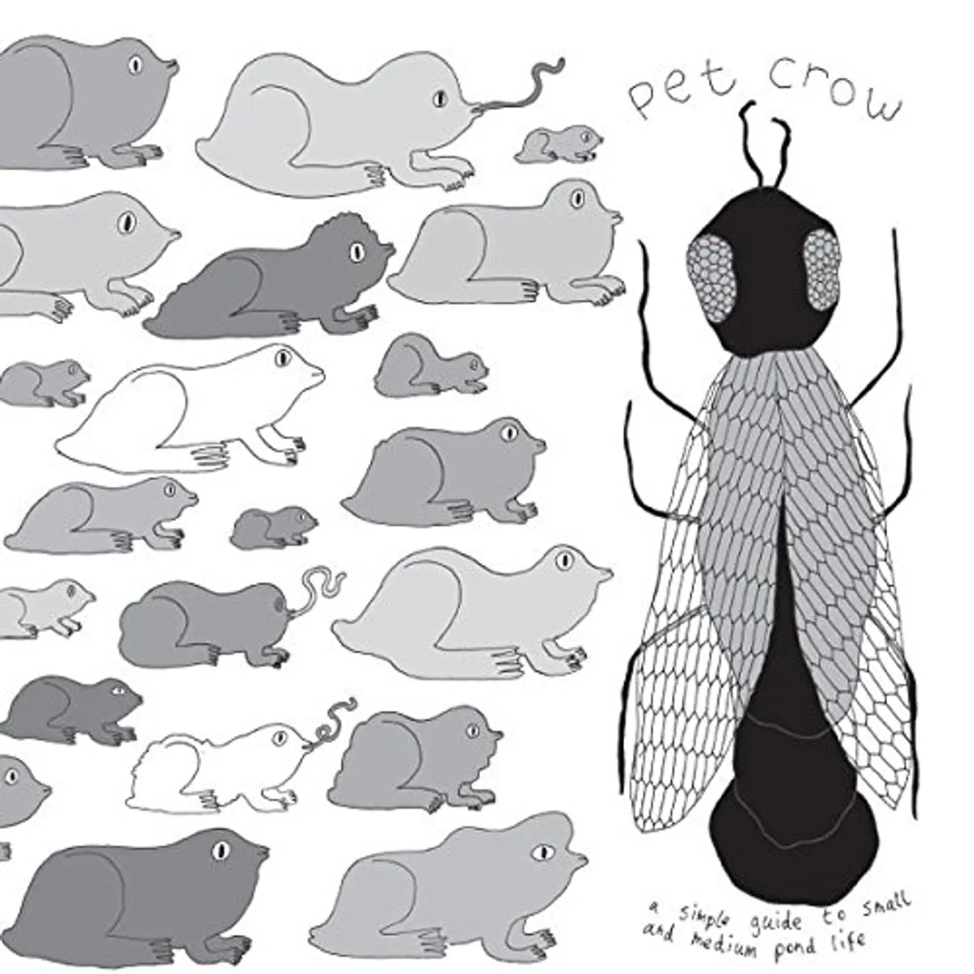 Pet Crow SIMPLE GUIDE TO SMALL & MEDIUM POND LIFE Vinyl Record