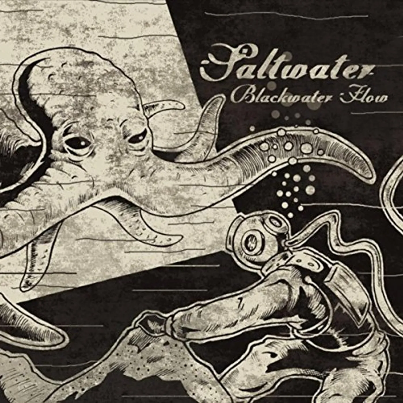 Saltwater BLACKWATER FLOW CD