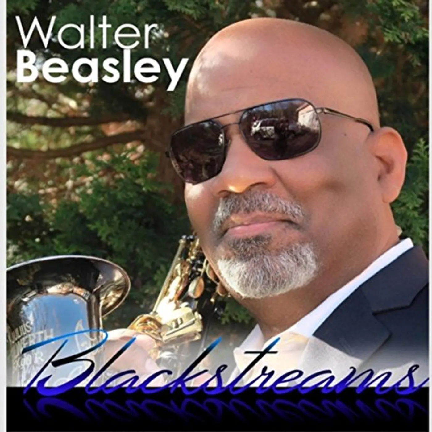 Walter Beasley BLACKSTREAMS CD