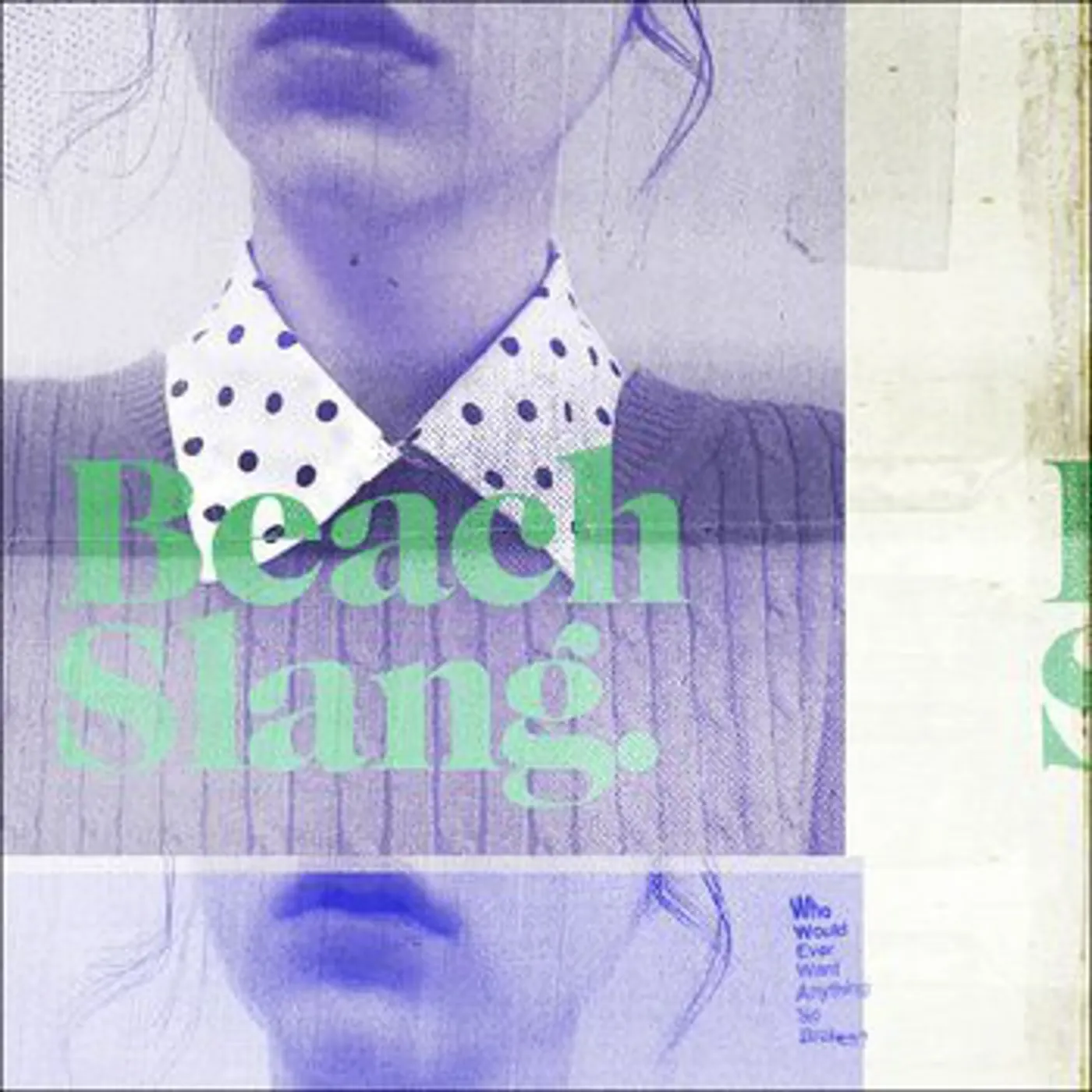 Beach Slang WHO WOULD EVER WANT ANYTHING Vinyl Record