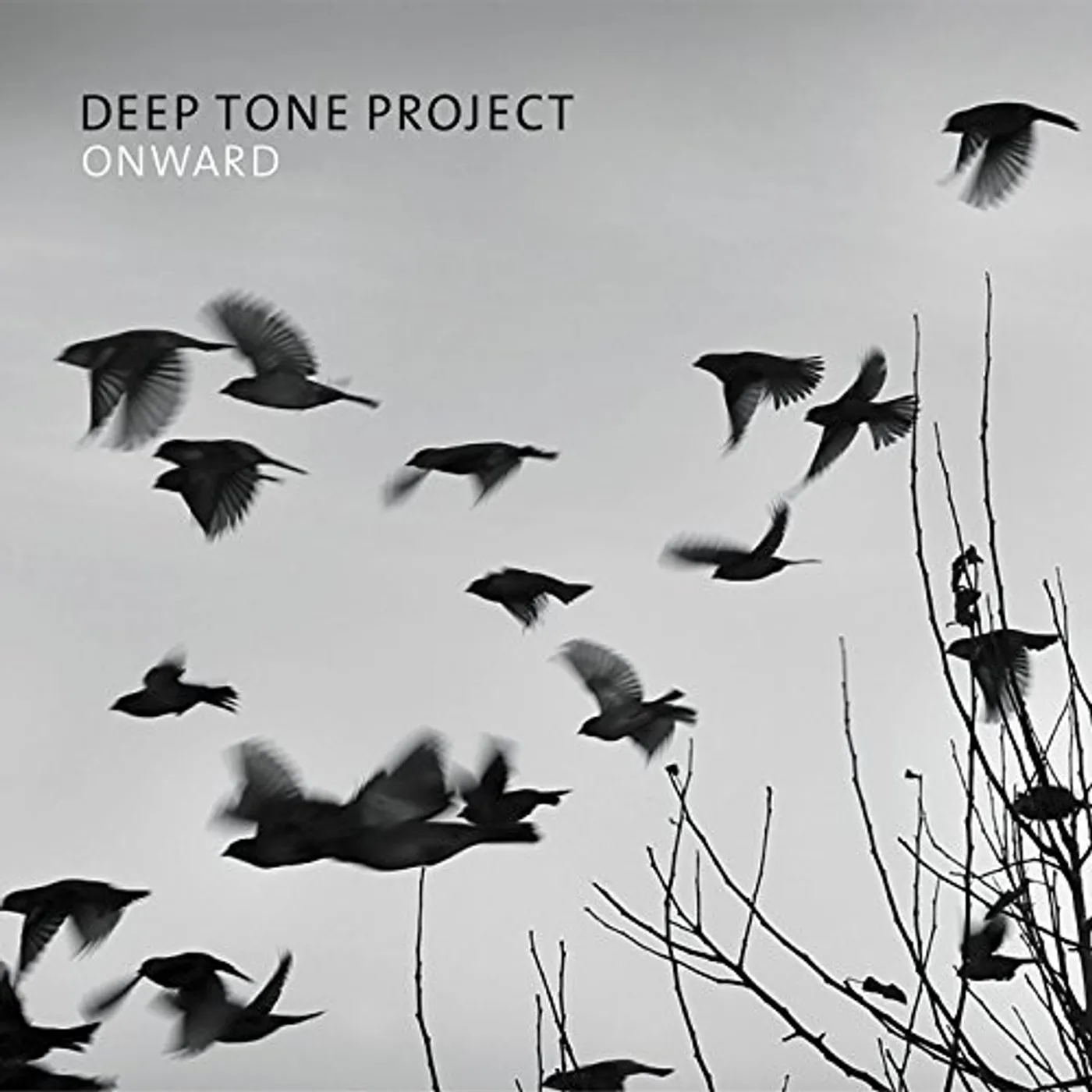 Deep Tone Project ONWARD CD