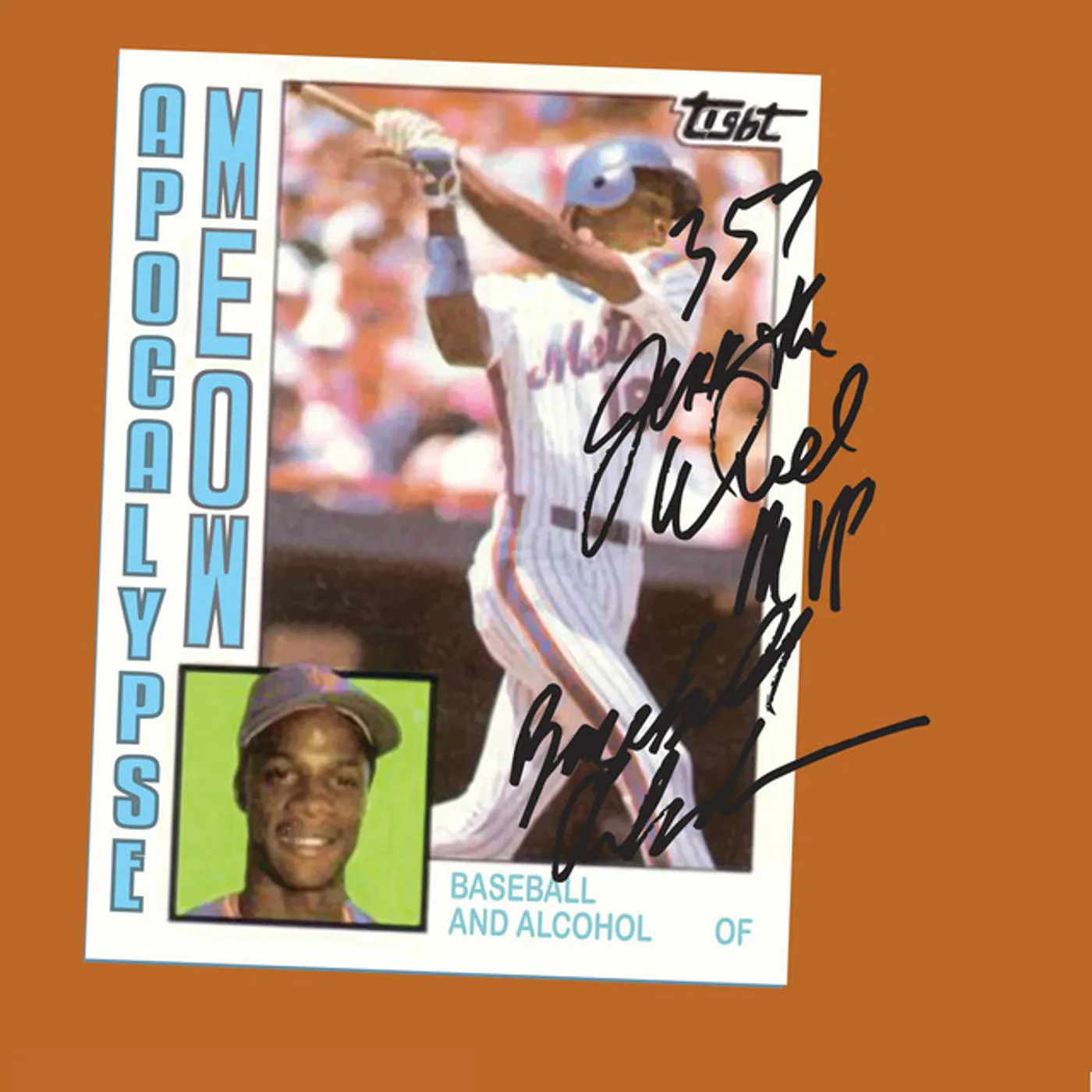 Apocalypse Meow Baseball and Alcohol Vinyl Record