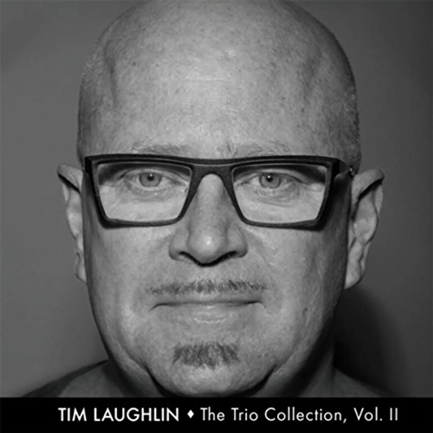 Tim Laughlin TRIO COLLECTION II CD