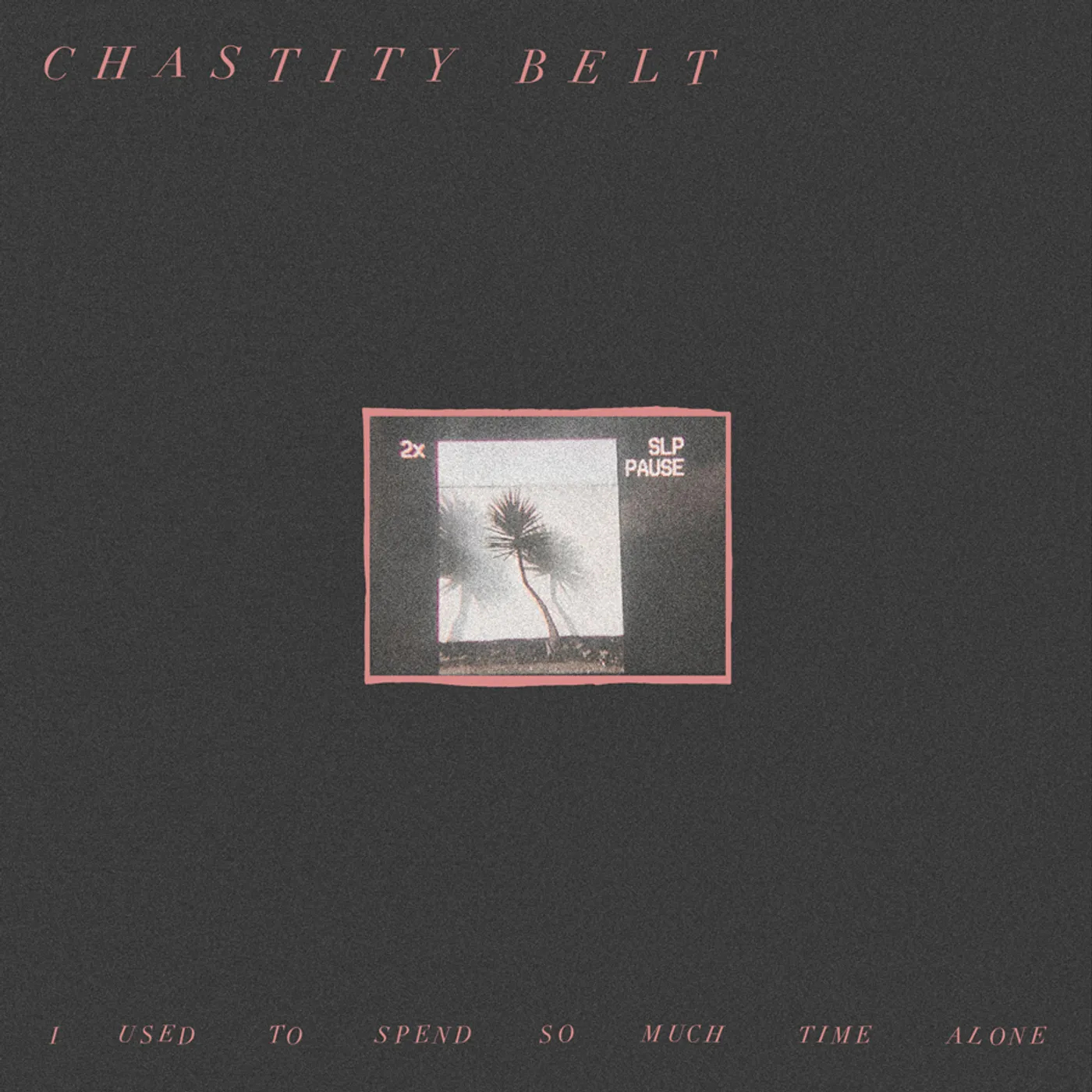 Chastity Belt I Used to Spend So Much Time Alone Vinyl Record