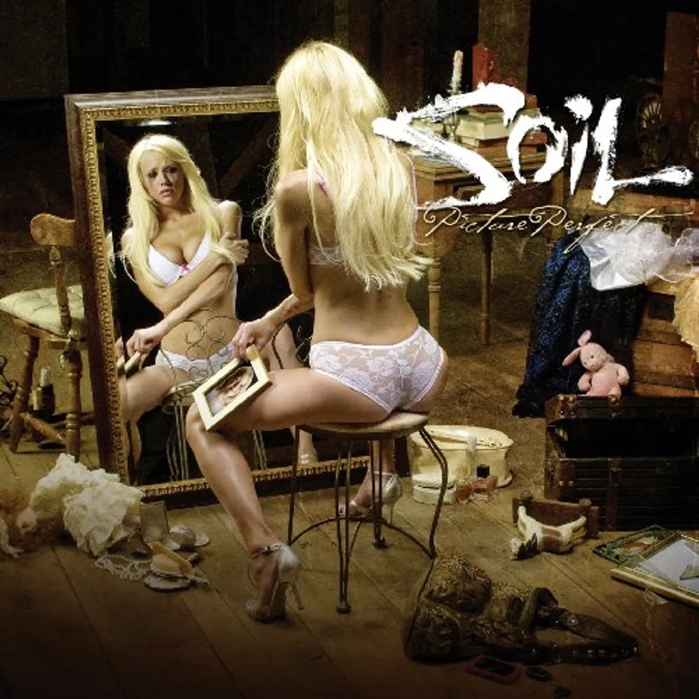 Soil PICTURE PERFECT CD