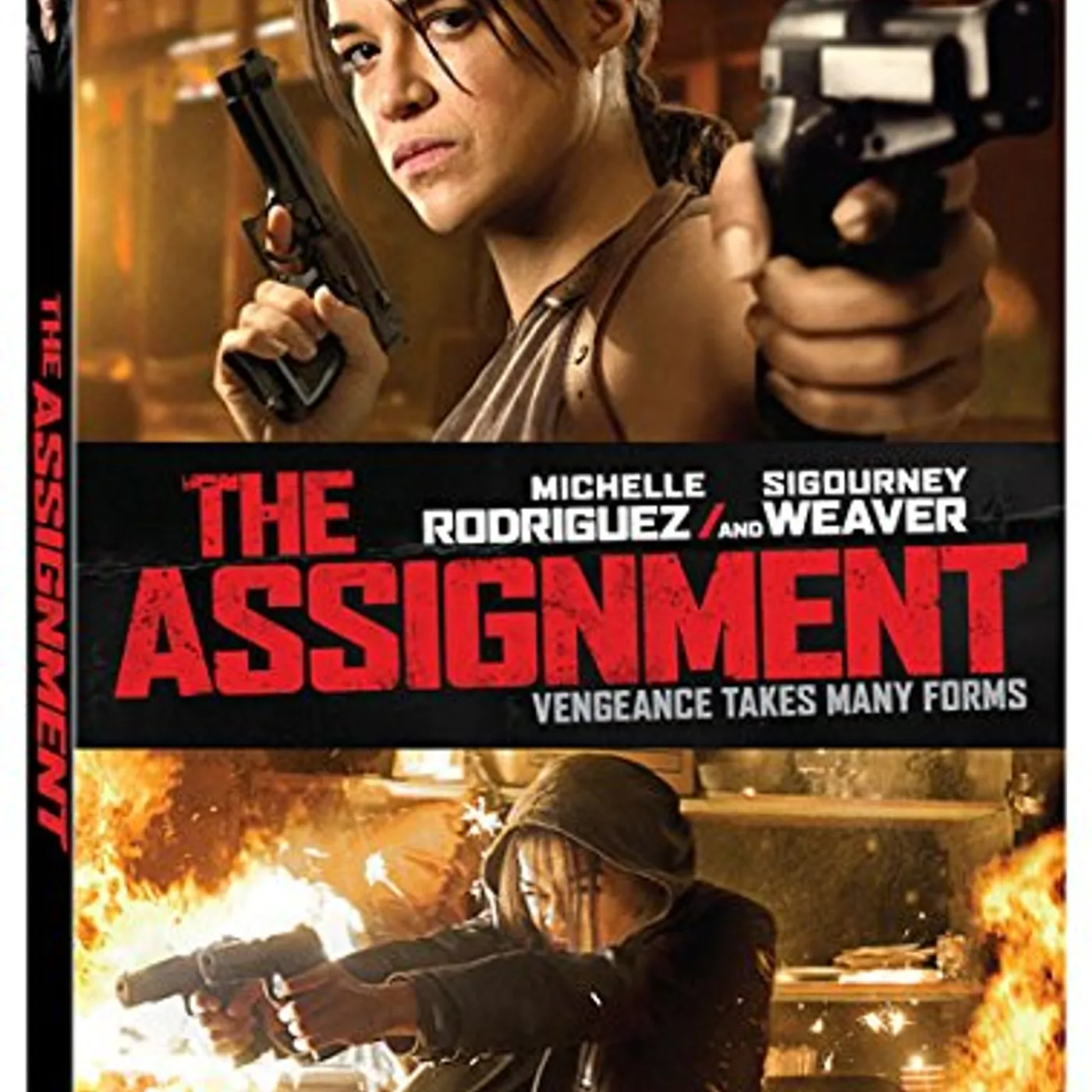 ASSIGNMENT DVD