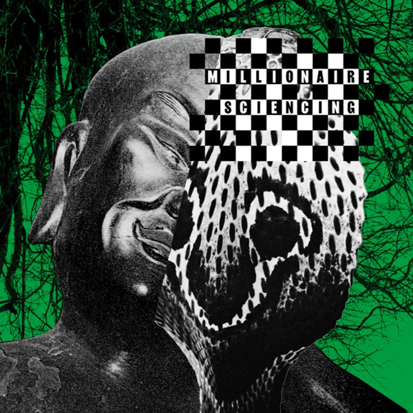 Millionaire Sciencing Vinyl Record