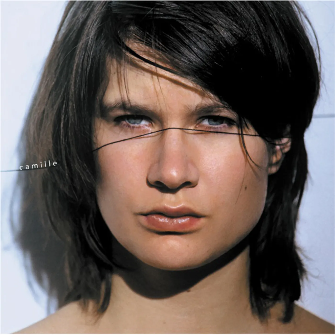 Camille Le fil Vinyl Record