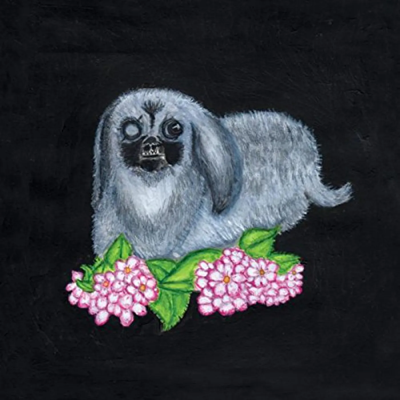 Guadalupe Plata 2017 Vinyl Record