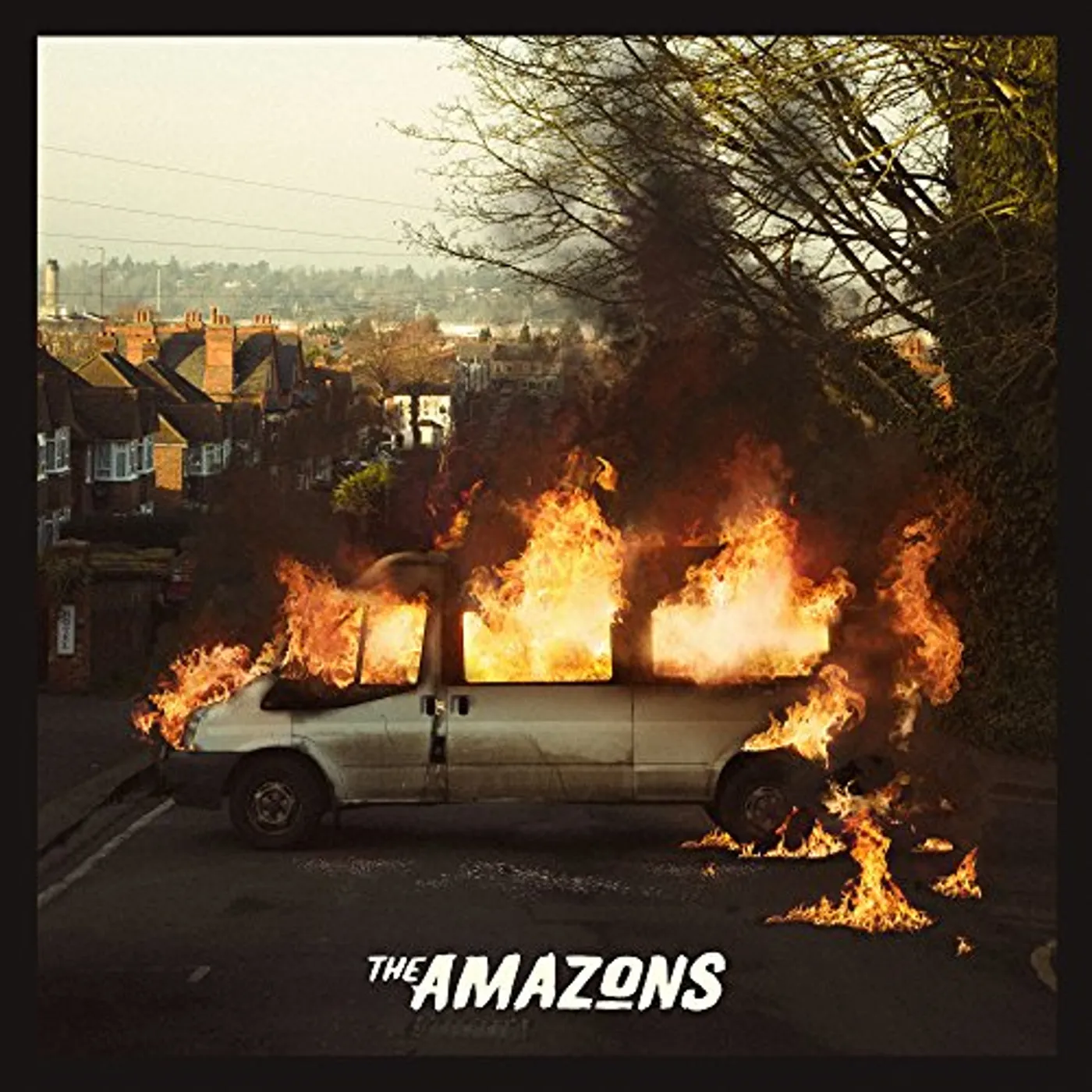 The Amazons Vinyl Record