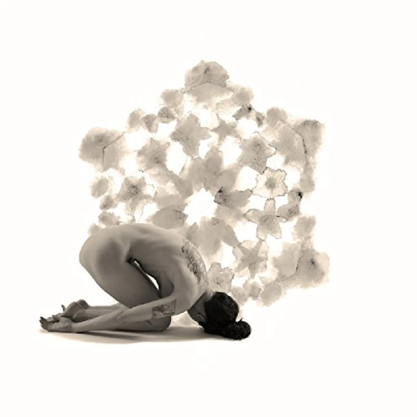 Larkin Grimm Chasing an Illusion Vinyl Record