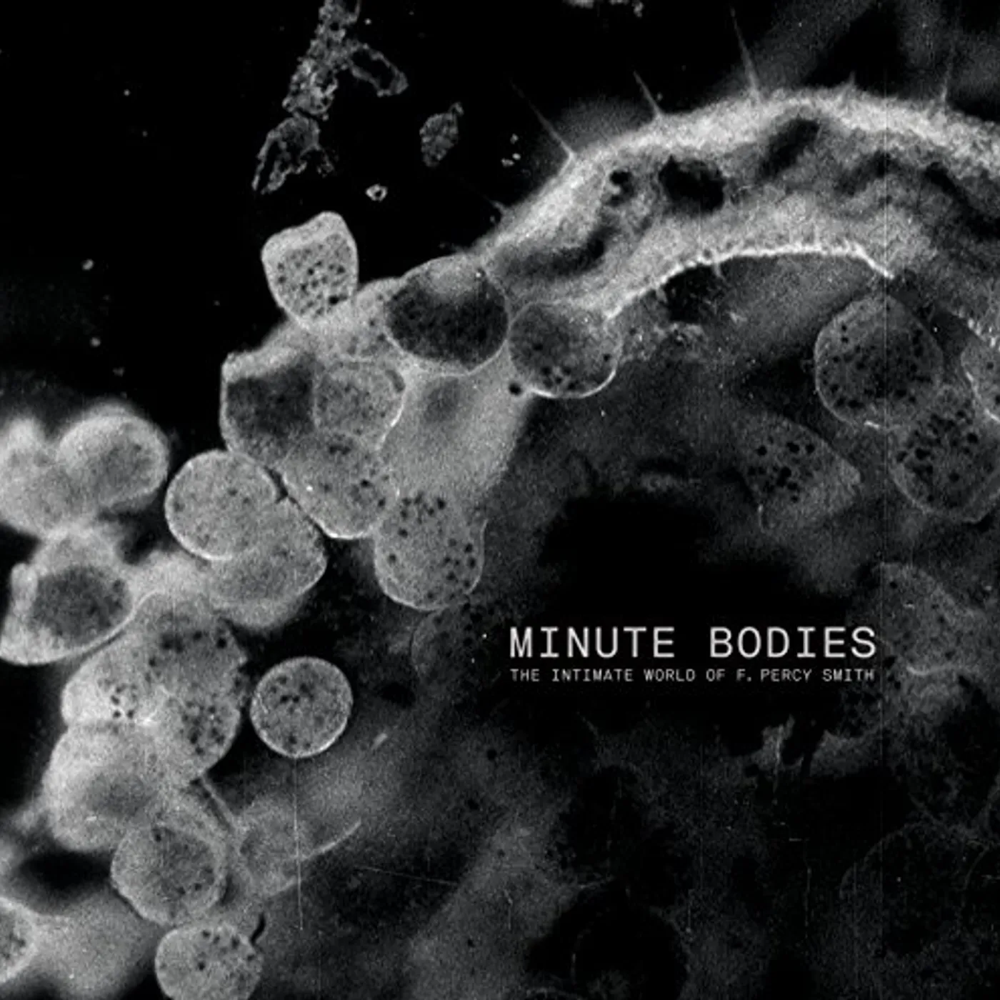 Tindersticks MINUTE BODIES: INTIMATE WORLD OF F. PERCY SMITH CD