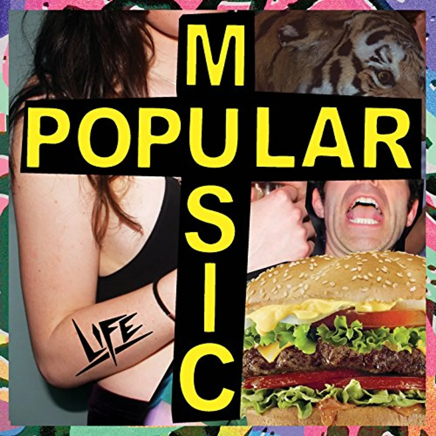 Life Popular Music Vinyl Record
