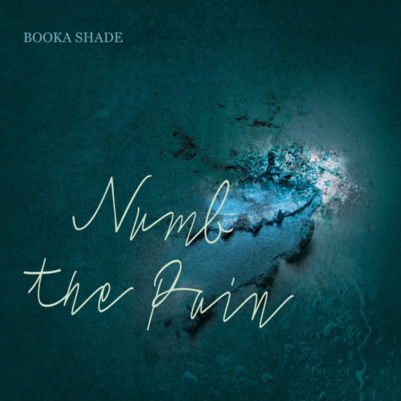 Booka Shade Numb the Pain Vinyl Record