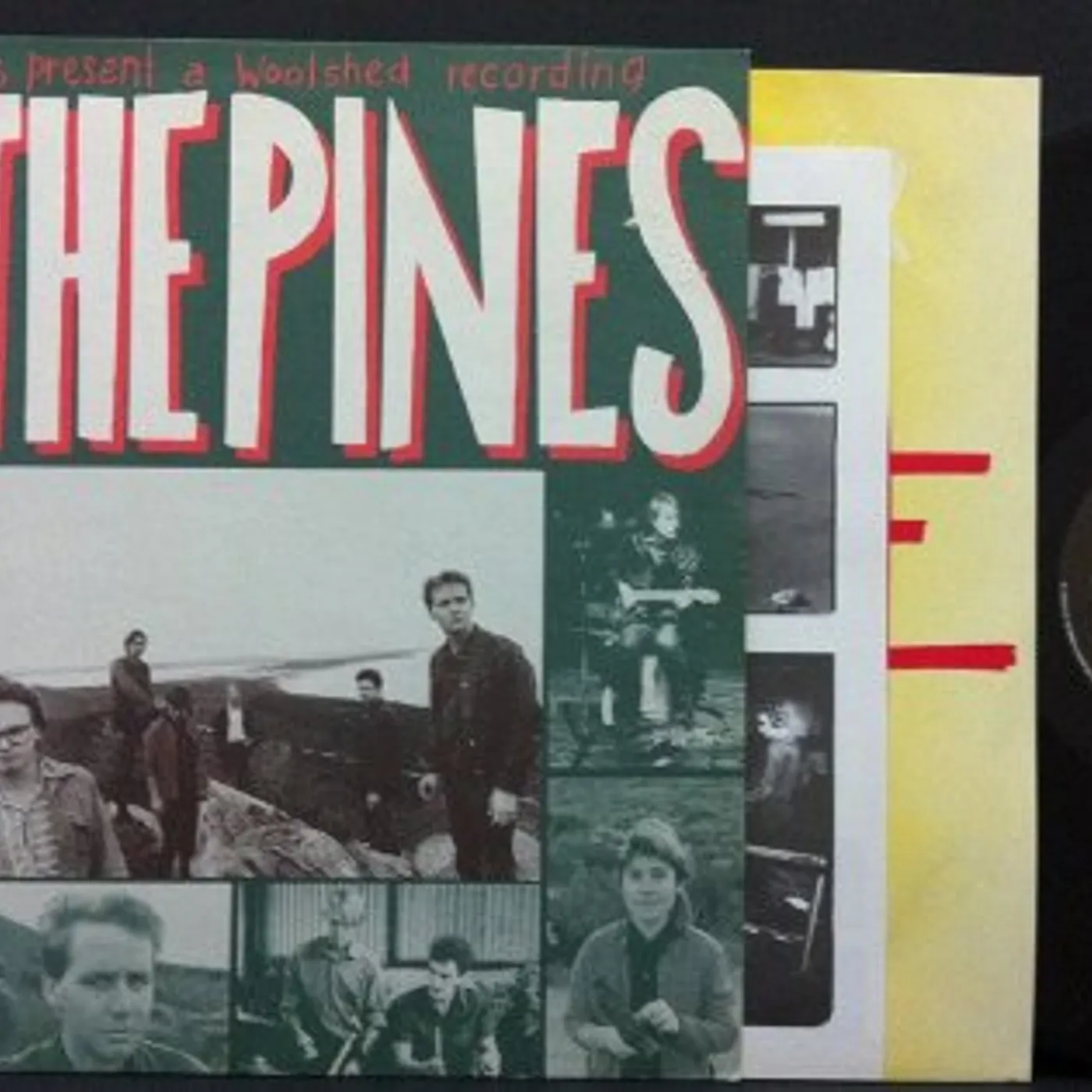 The Triffids IN THE PINES CD
