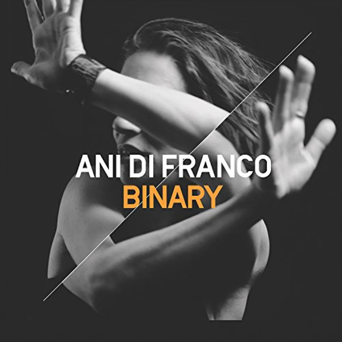 Ani DiFranco Binary Vinyl Record