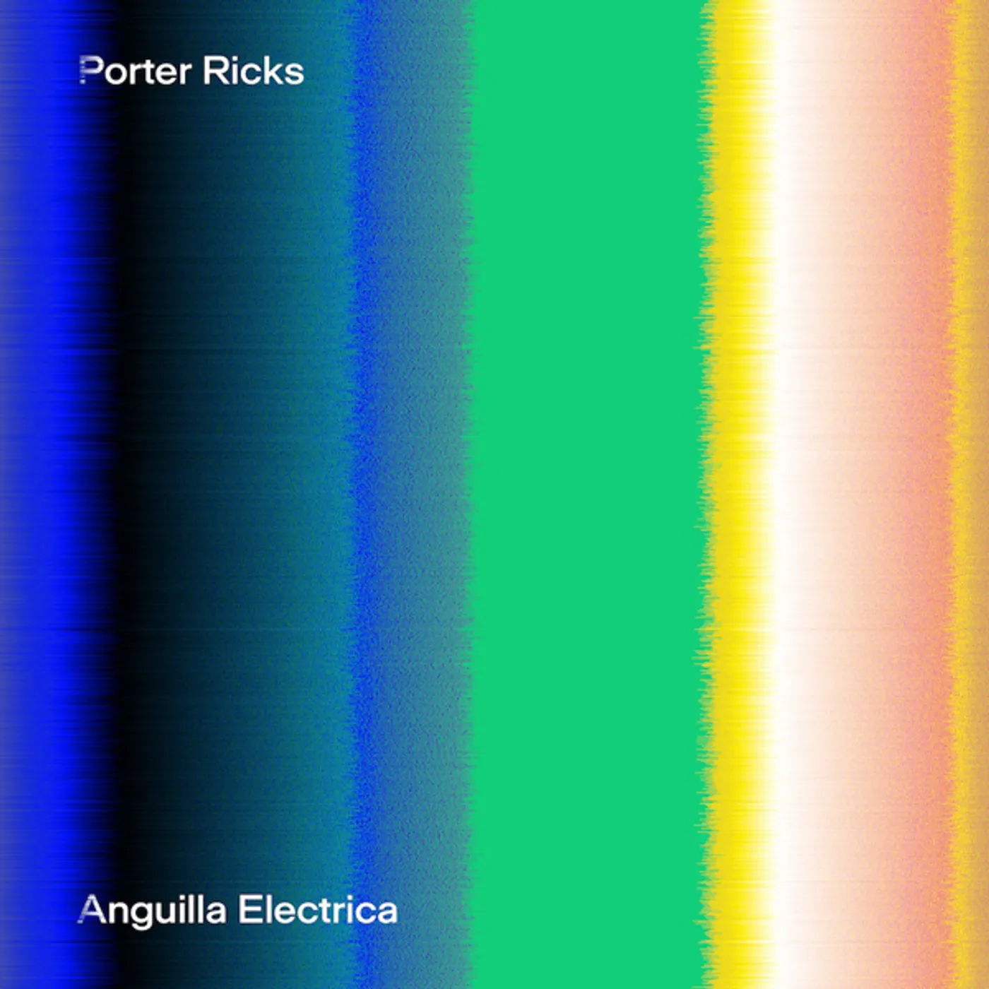 Porter Ricks Anguilla Electrica Vinyl Record