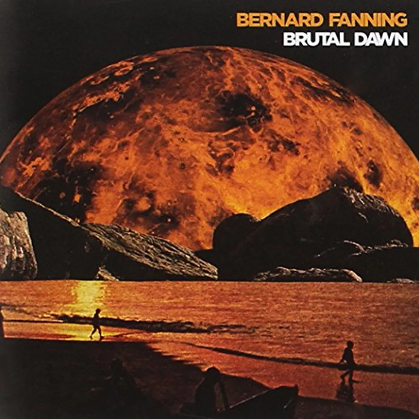 Bernard Fanning Brutal Dawn Vinyl Record