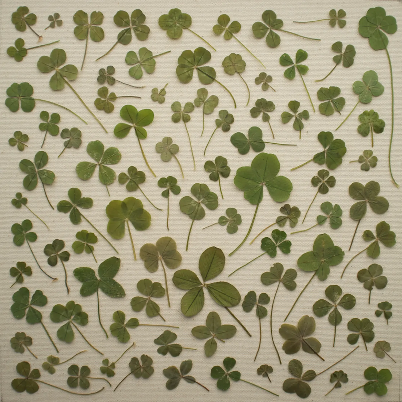 Daniel Martin Moore TURNED OVER TO DREAMS CD