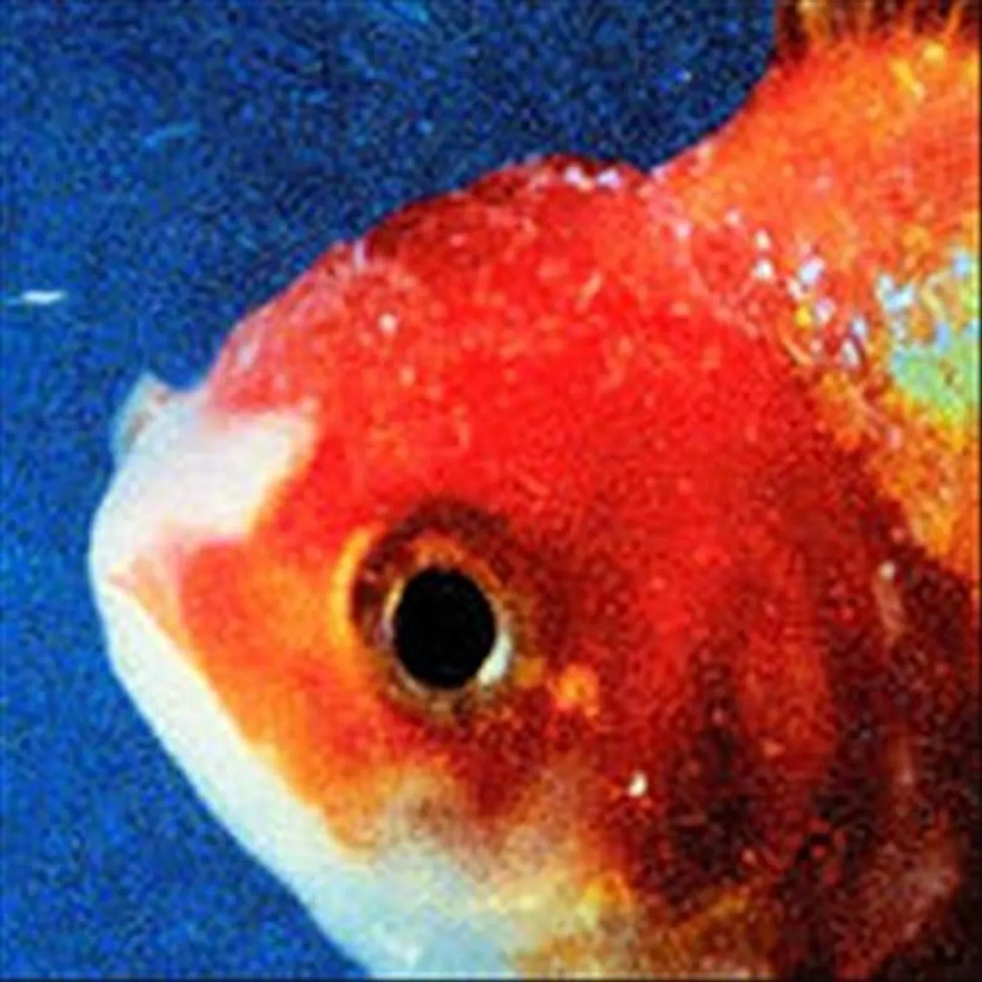 Vince Staples BIG FISH THEORY CD