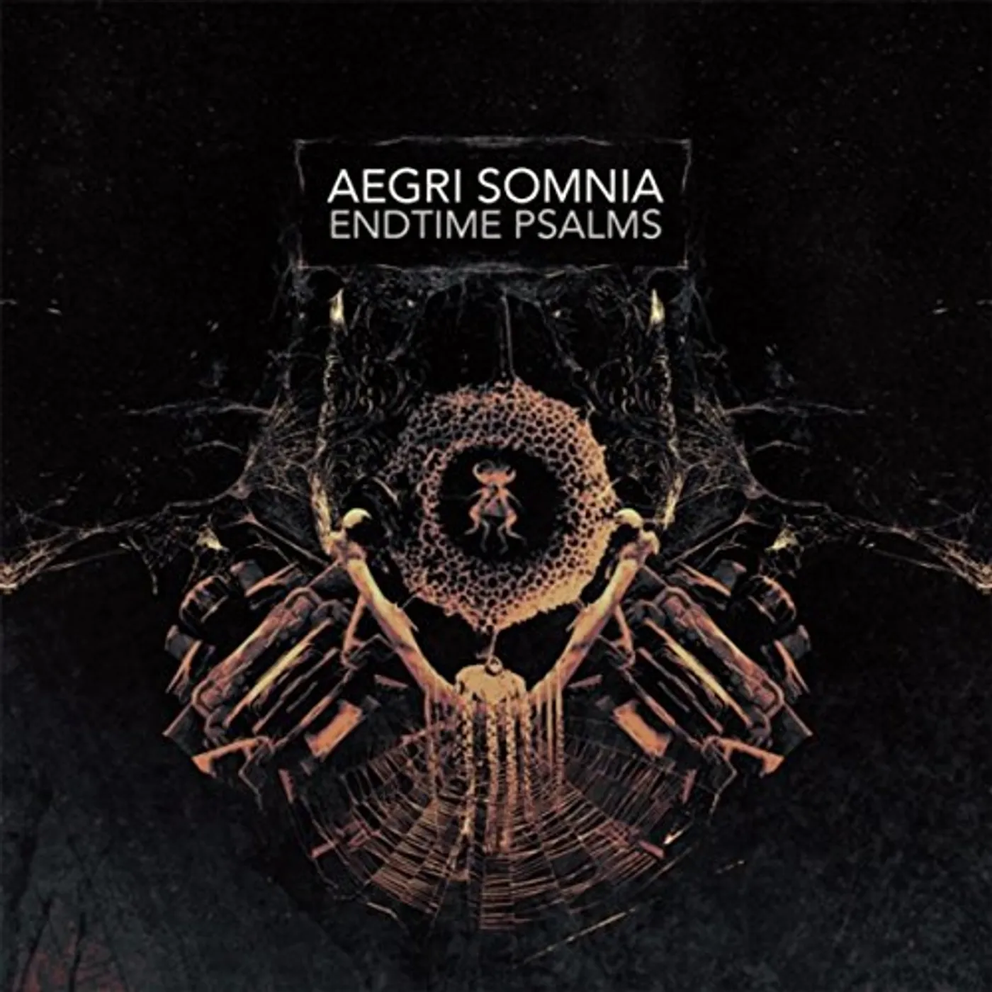 Aegri Somnia ENDTIME PSALMS CD