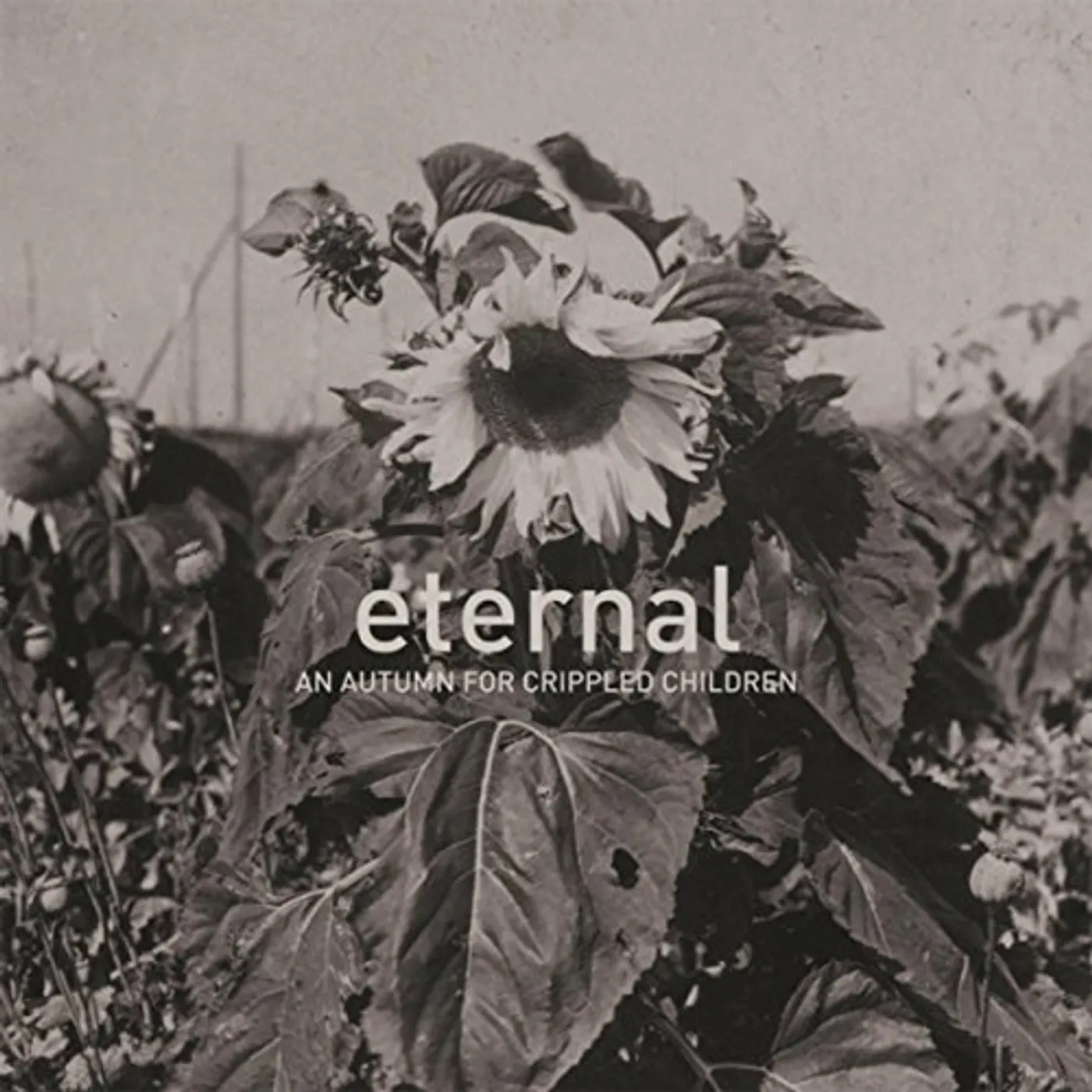 An Autumn for Crippled Children ETERNAL CD