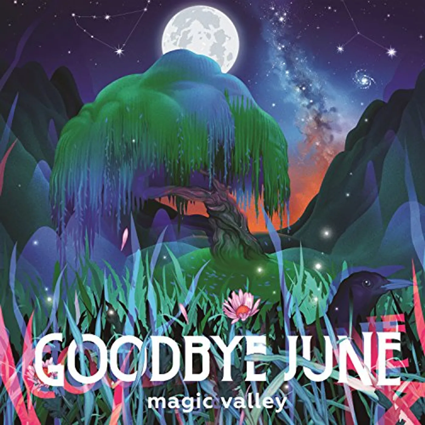 Goodbye June Magic Valley Vinyl Record