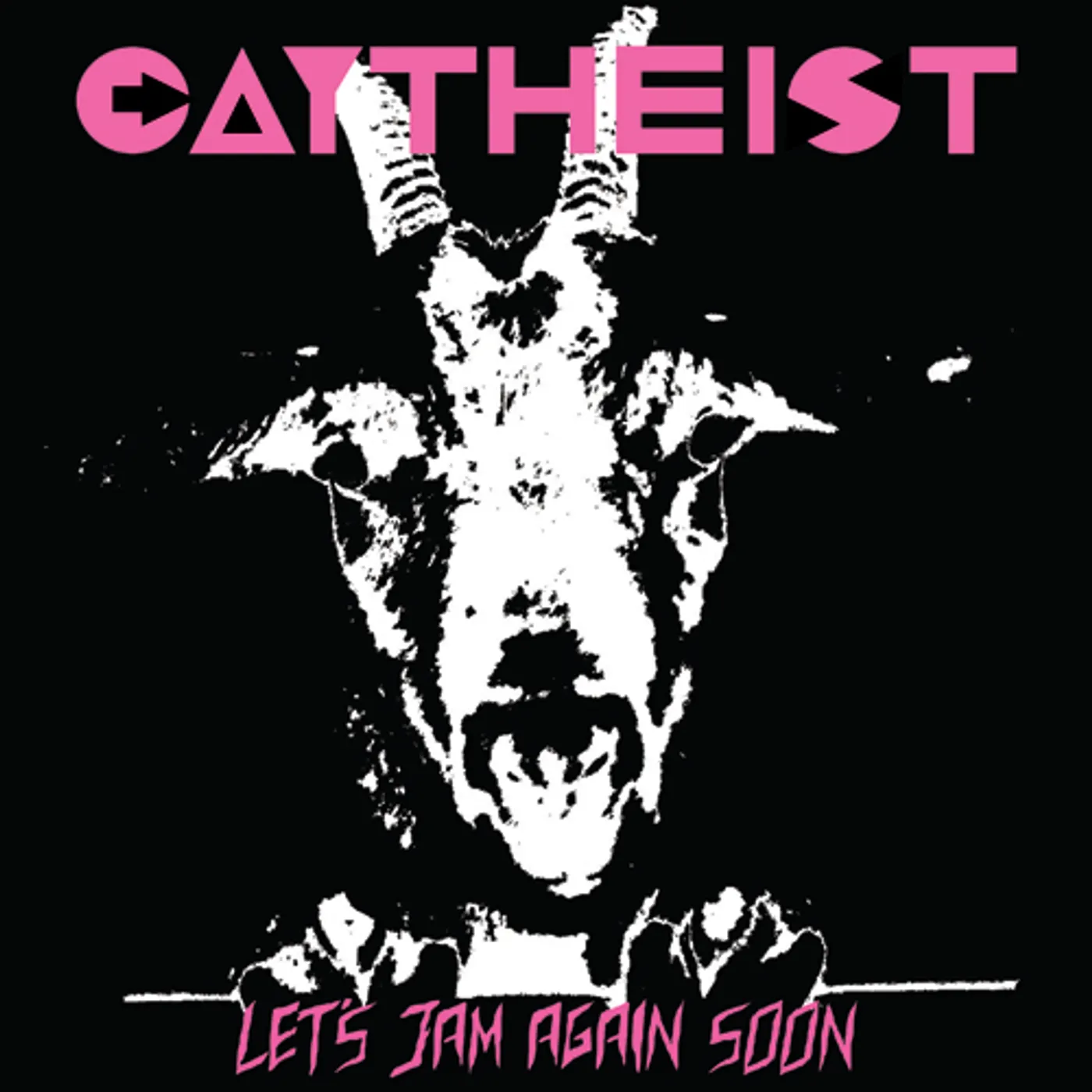 Gaytheist Let's Jam Again Soon Vinyl Record