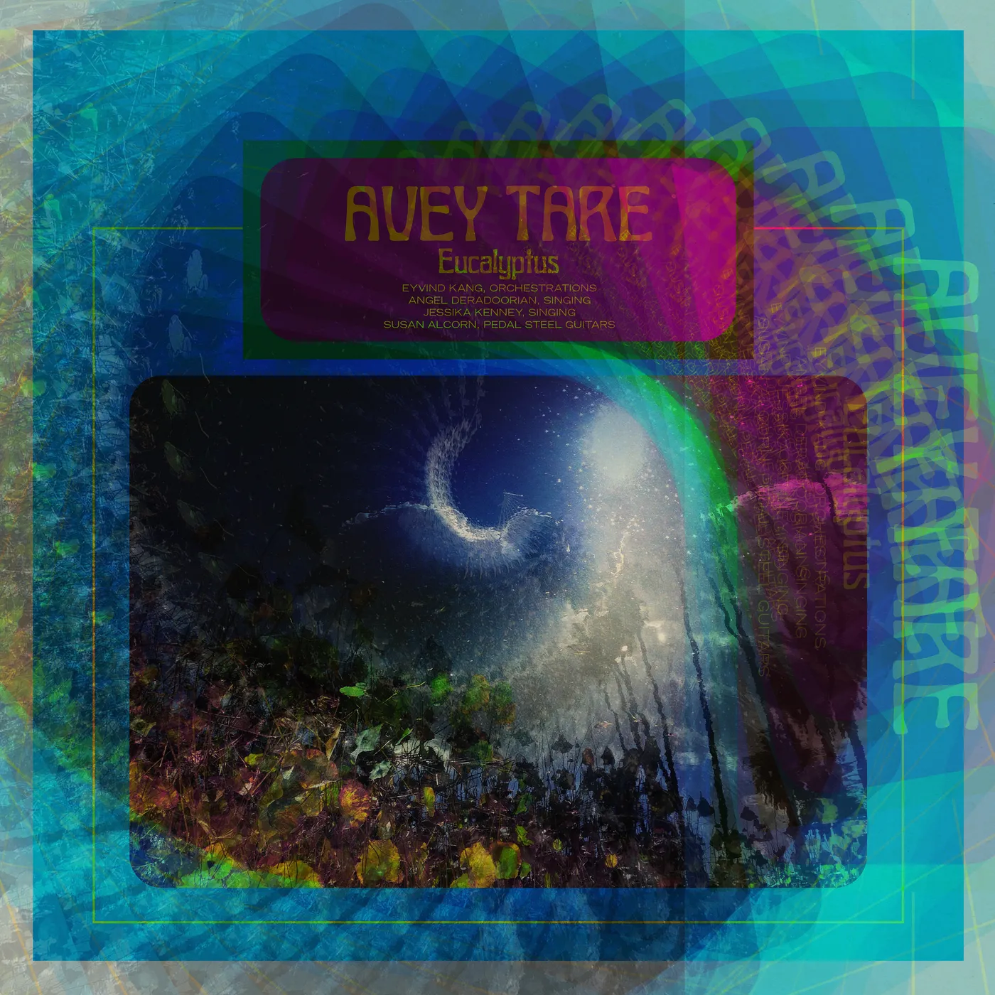 Avey Tare Eucalyptus Vinyl Record