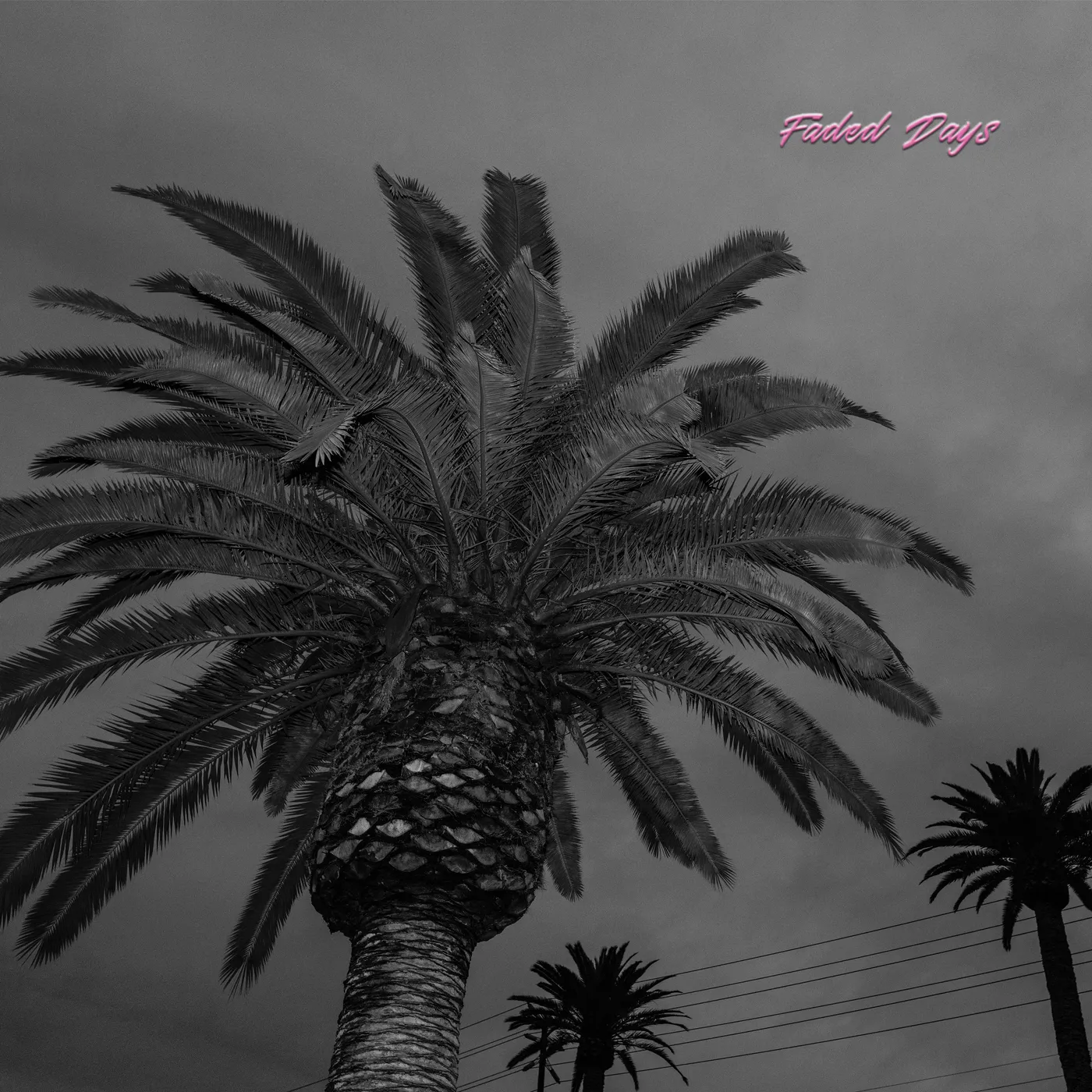 Actual Wolf Faded Days Vinyl Record