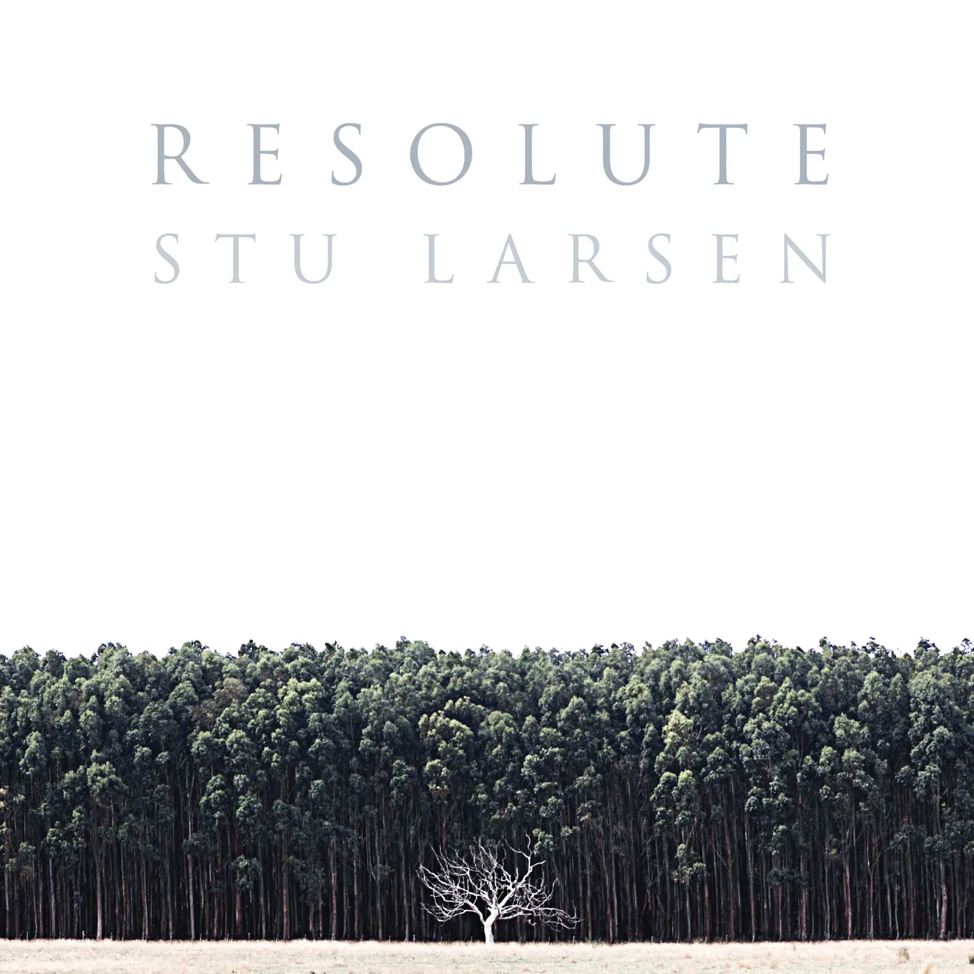 Stu Larsen Resolute Vinyl Record