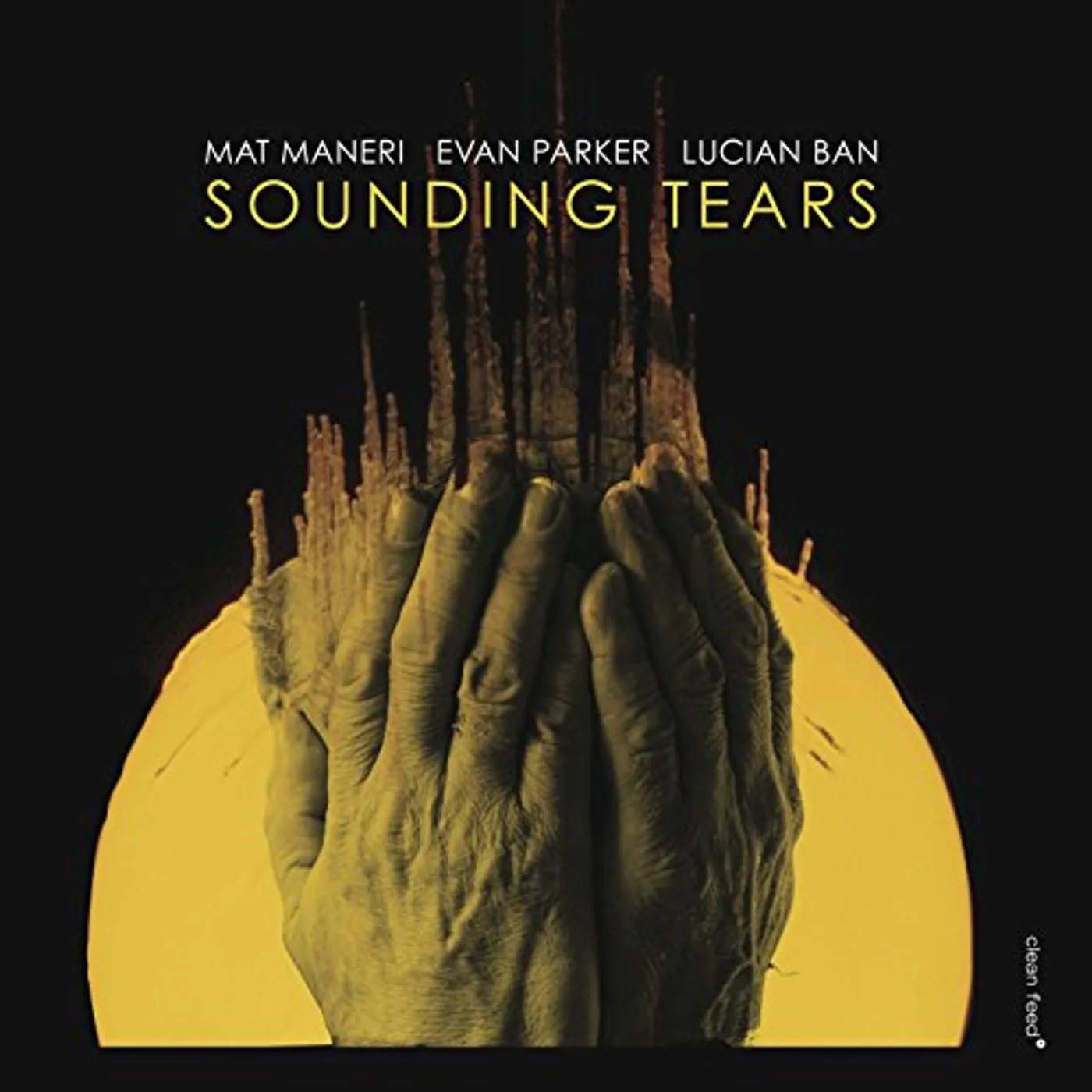 Mat Maneri SOUNDING TEARS WITH EVAN PARKER & LUCIAN BAN CD
