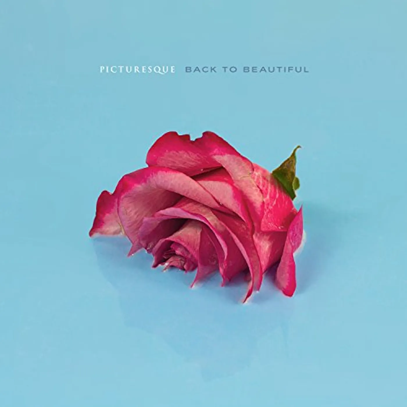 Picturesque BACK TO BEAUTIFUL CD