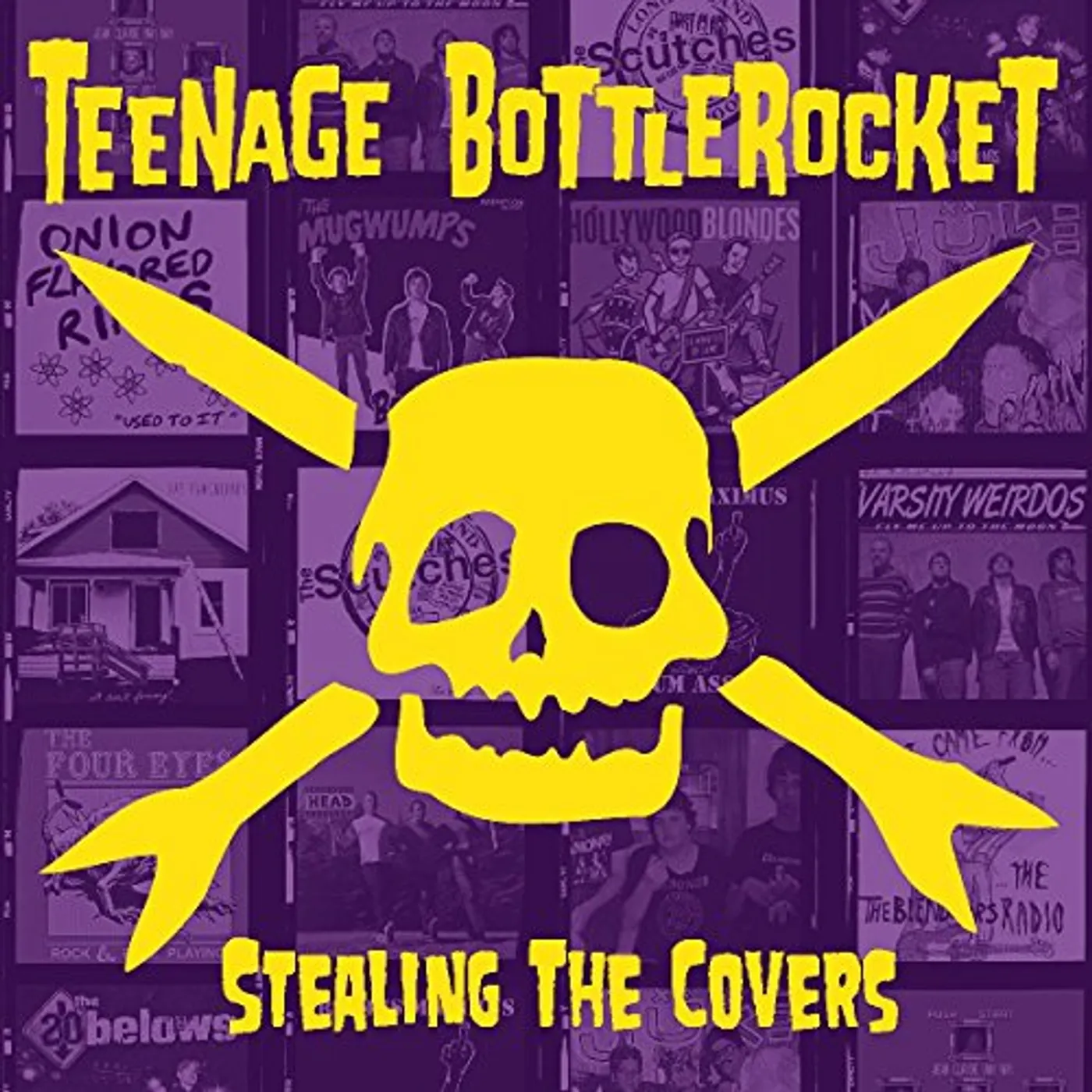 Teenage Bottlerocket Stealing the Covers Vinyl Record