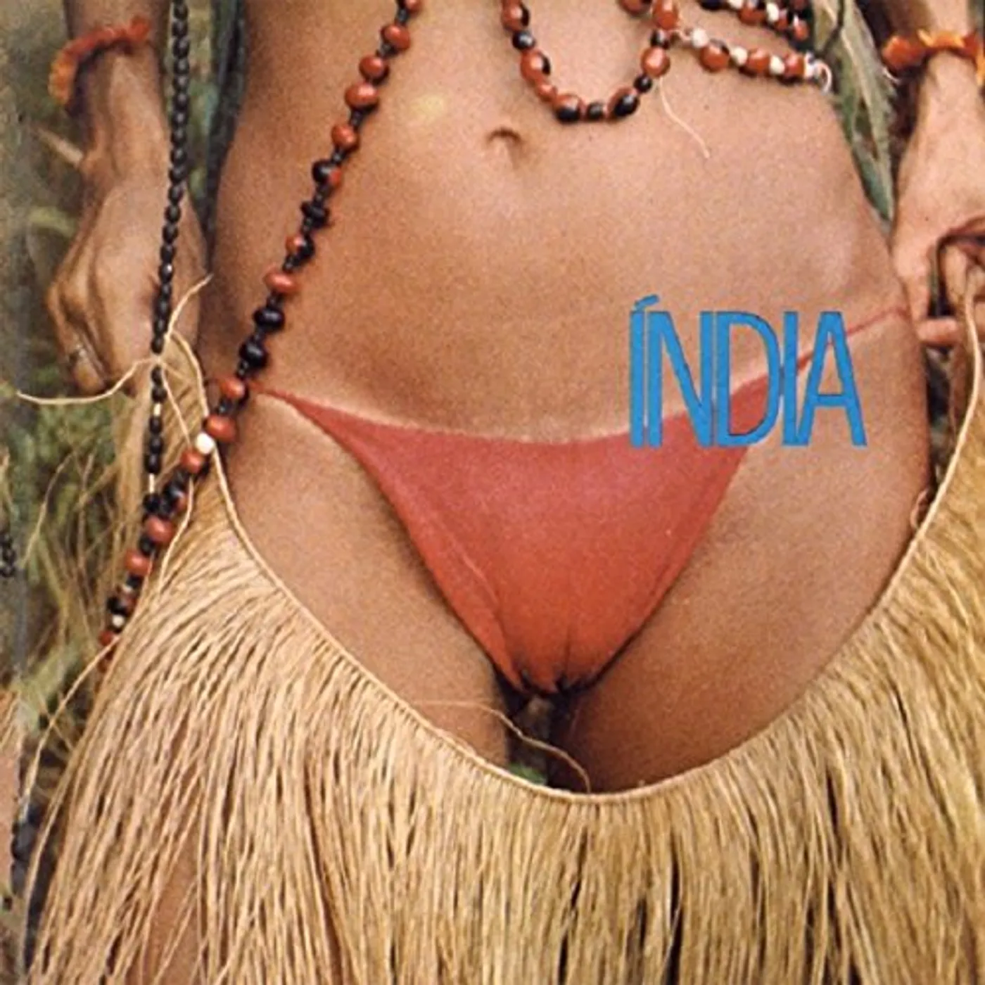 Gal Costa India Vinyl Record