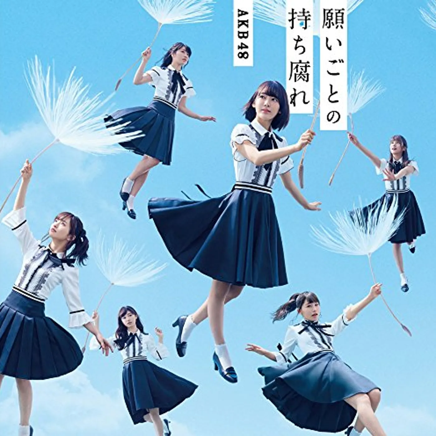 AKB48 NEGAIGOTO NO MOCHIGUSARE (TYPE A) CD