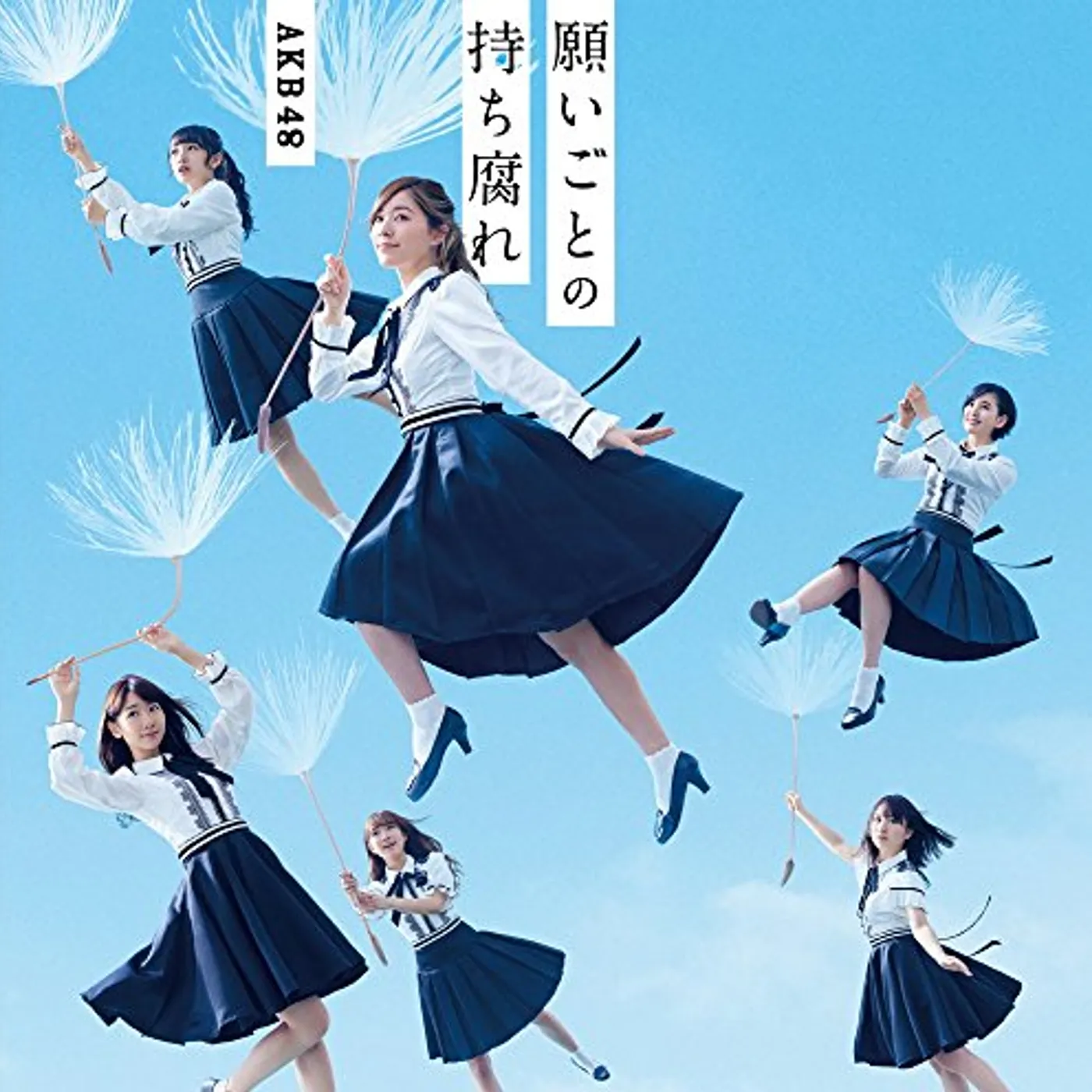AKB48 NEGAIGOTO NO MOCHIGUSARE (TYPE B) CD
